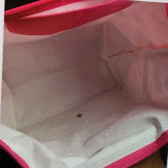 Longchamp Fuchsia Tote with Brown Accents - Picture 10 of 10